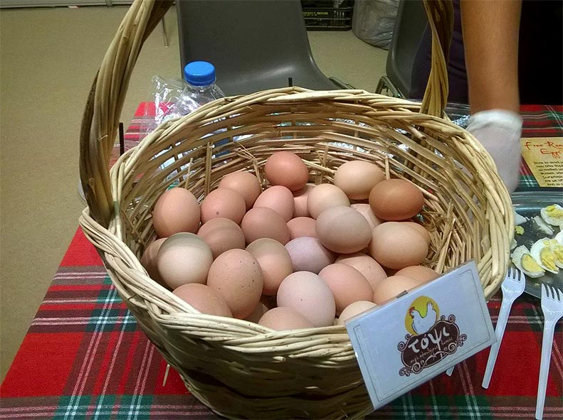 αγρόκτημα Τόψι - αυγά